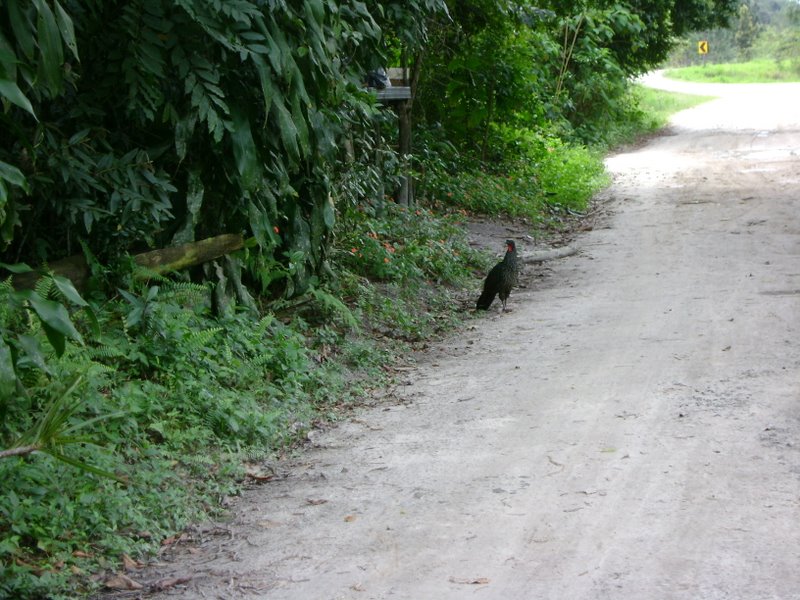 [OgAAAPKuPVQgRJNKAyt95juft26G__wFx2pw1krrKWYXX0H426DsSLAVxfdnYkvS4lePMxJEKw2fpyR0mhQLJv-4MNsAm1T1UPdlewPtZhDU05NzBtwwylFBubO-.jpg]