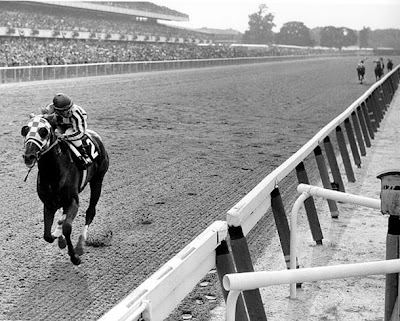 black and white pictures of horses. This lack and white photo