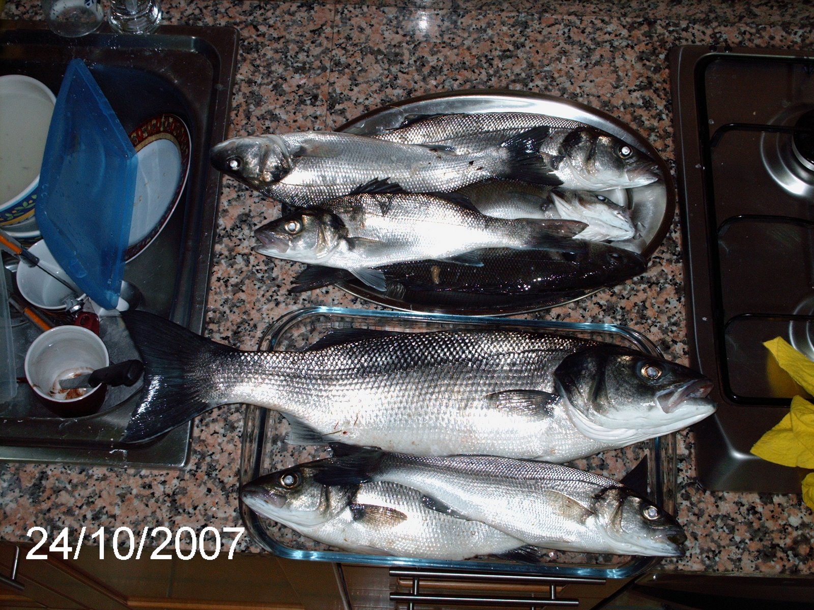 [PICT1181.JPG]