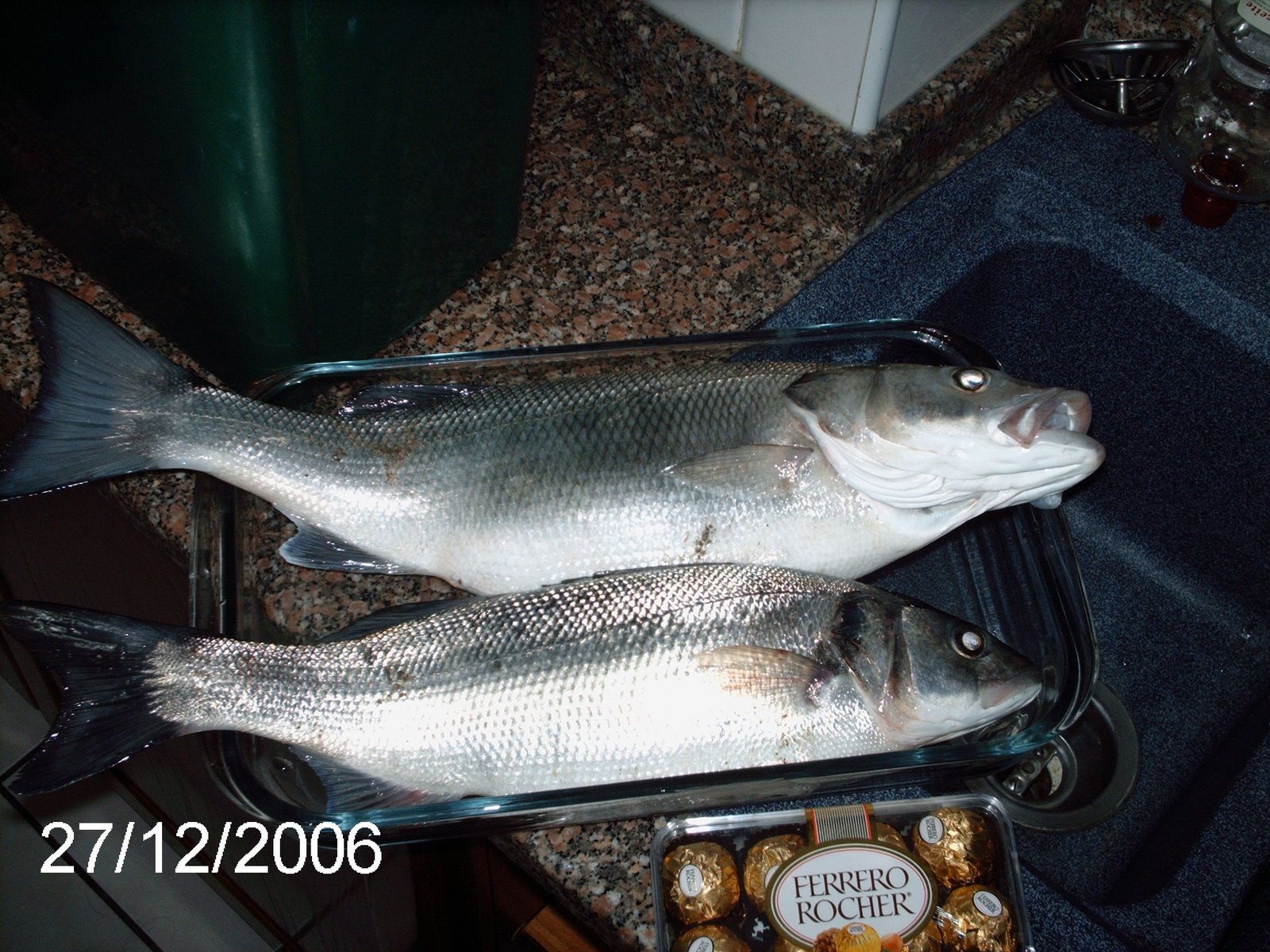 [Robalos_triangulo.jpg]