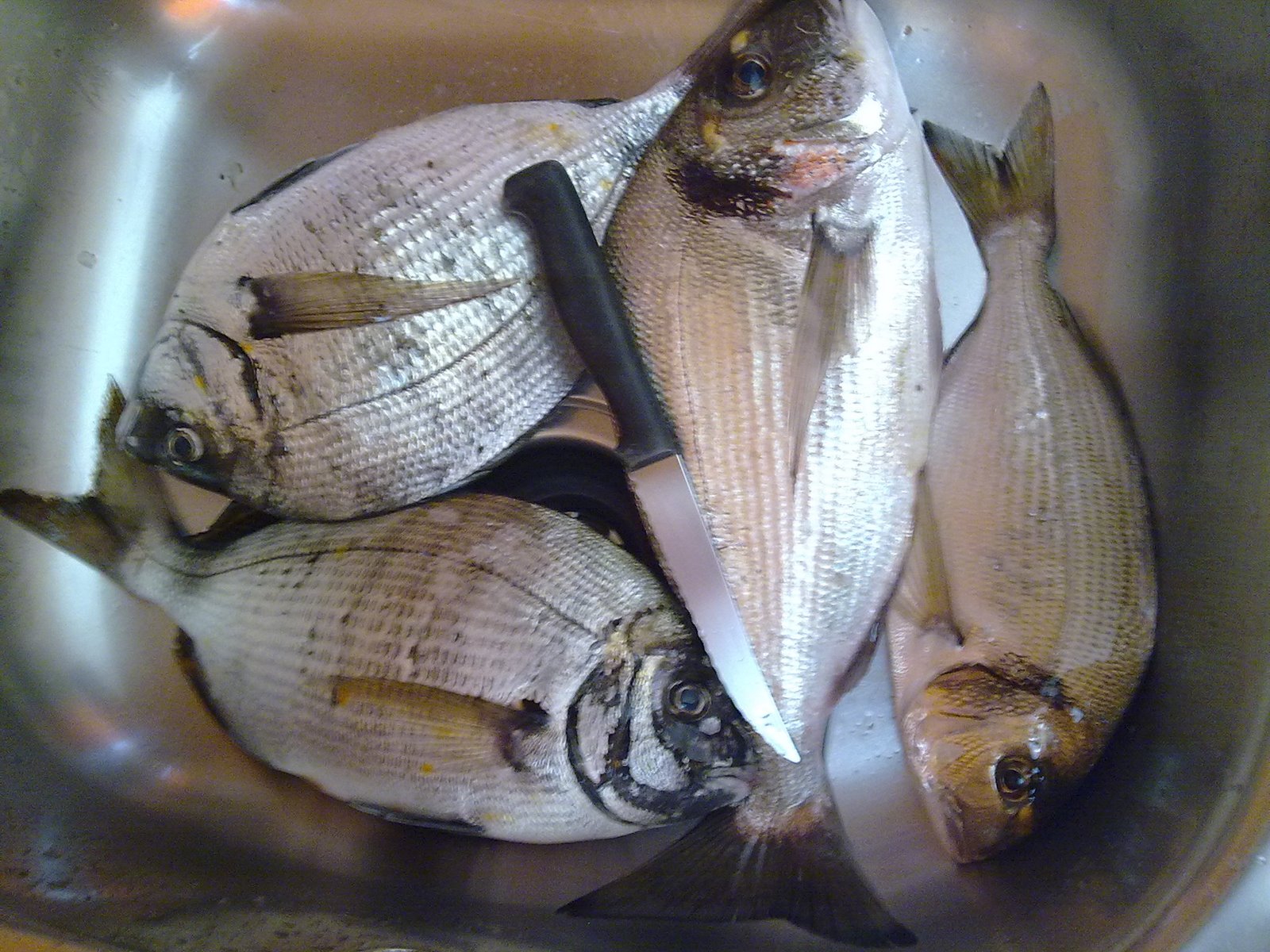 [12072009420.jpg]
