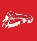 piece of meat
