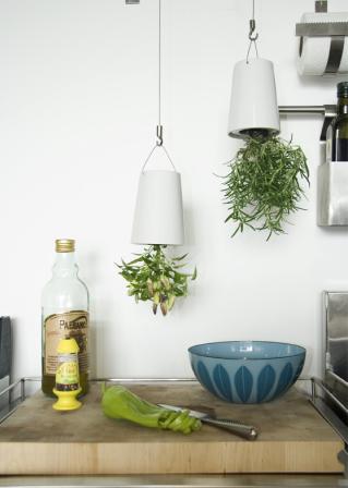 [balcony+gardener+sky+planter.jpg]