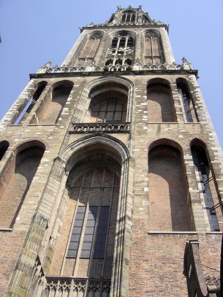[DSC07979.JPG]