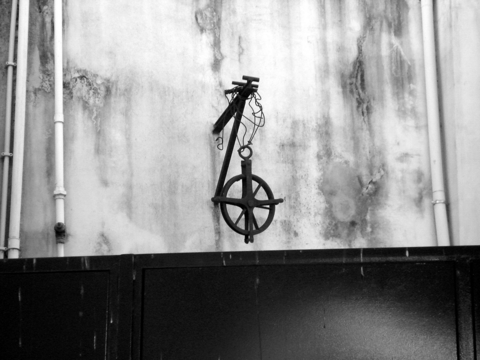 [ROSA+AOS+VENTOS.jpg]