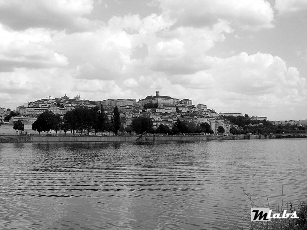 [basÃ³fia.jpg]