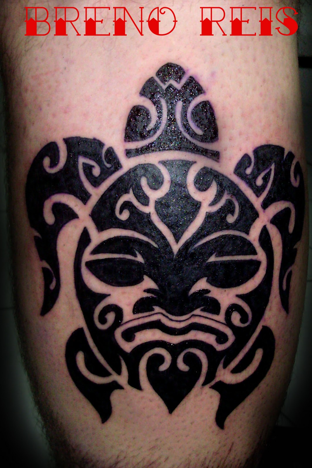 tattoo tartaruga