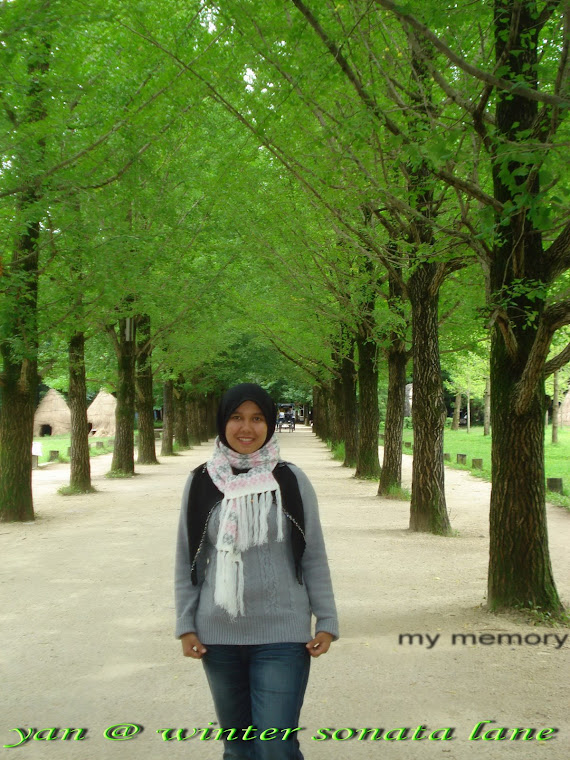 @ winter sonata lane