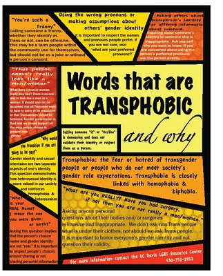 Downloadable poster titled 'Words That Are Transphobic and Why.'