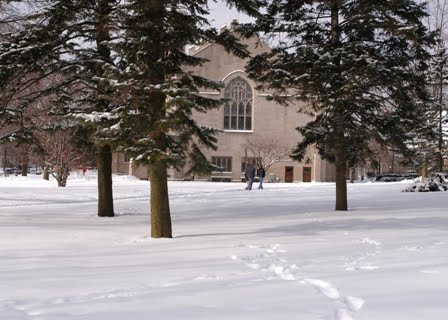 [HopePineGrove3.jpg]