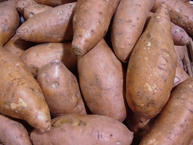 [sweetpotato.jpg]