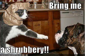 photo of a cat stretching its paw out toward a dog saying bring me a shrubbery