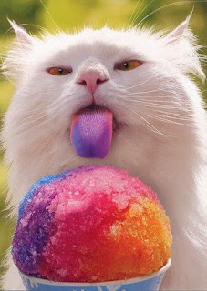 photo of a cat licking an ice cone
