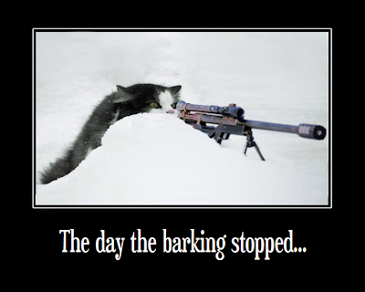 picture of a cat with a gun