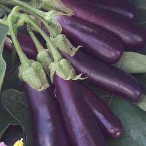 4 eggplants