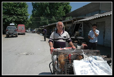 2009_Iran_871.jpg