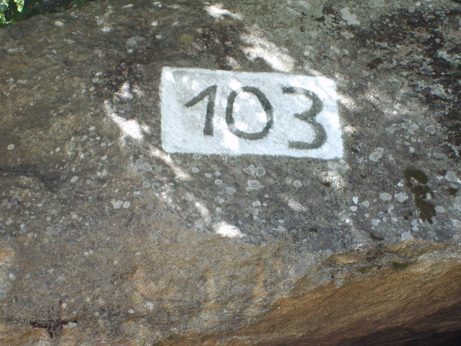 [S5001846.JPG]