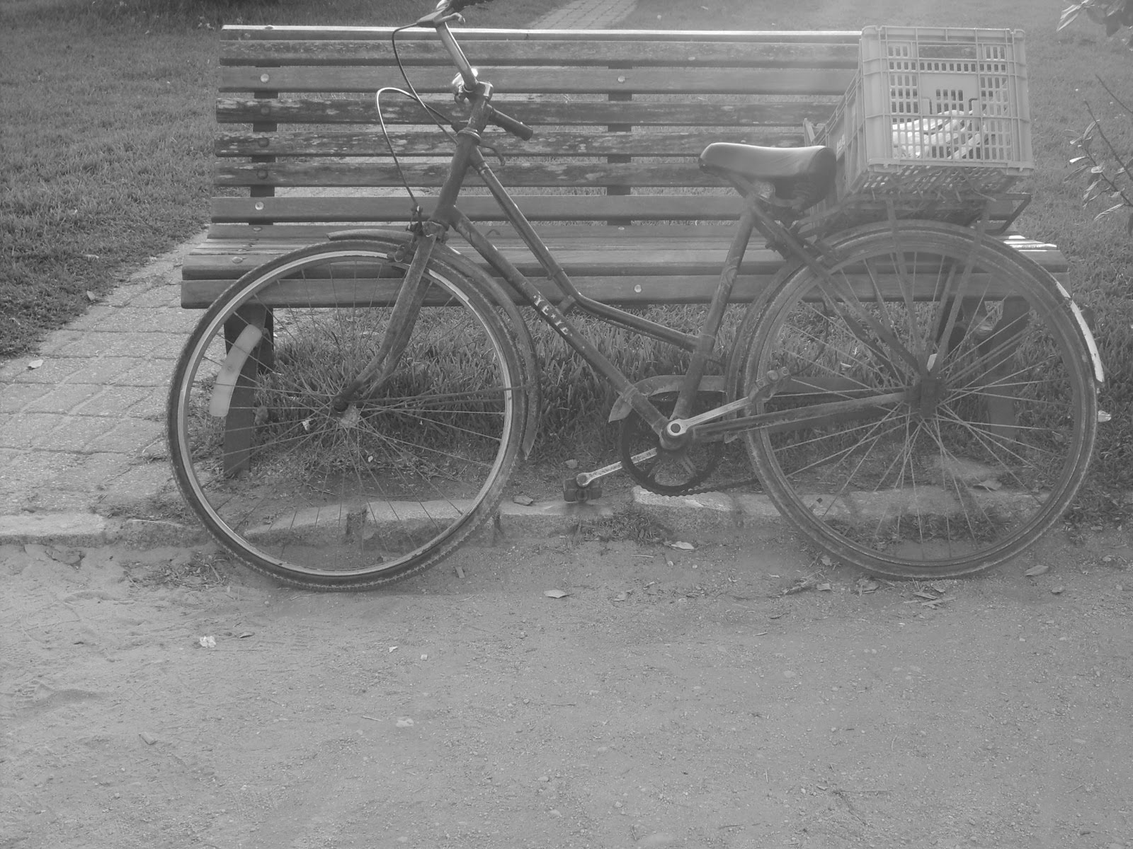 [S5006470.JPG]