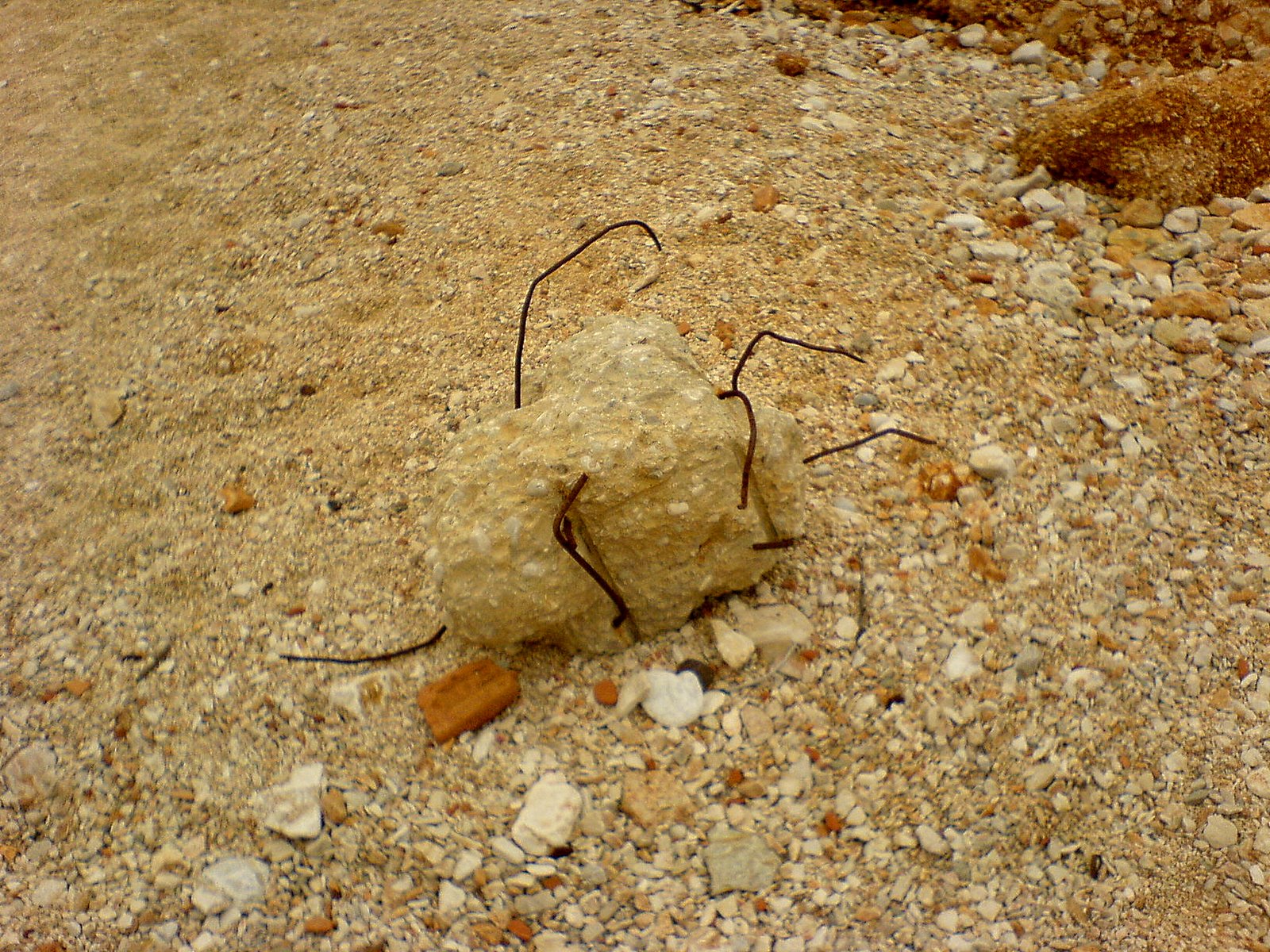 [DSC00212.JPG]