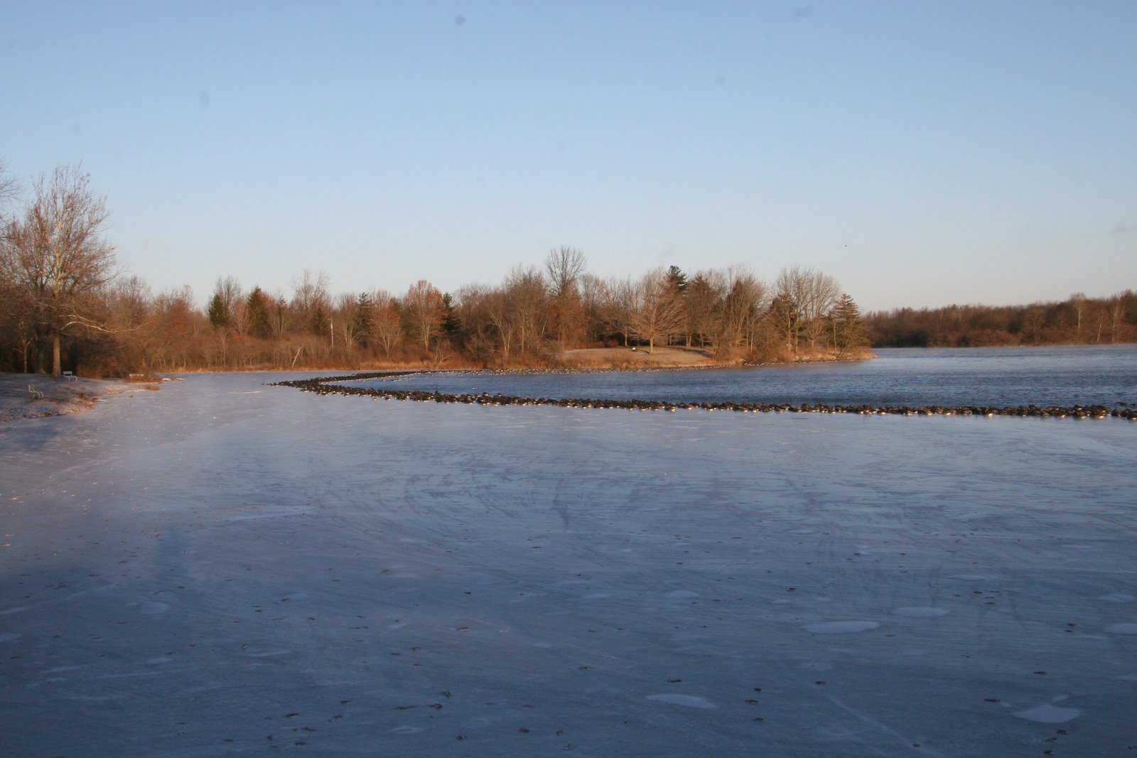 [IMG_5000.JPG]