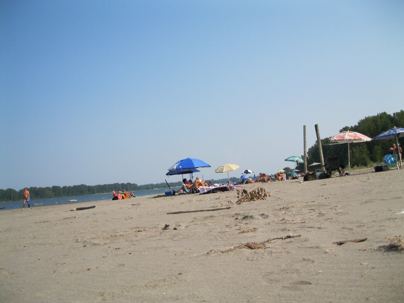 Discover the Enchanting Beaches of Sauvie Island