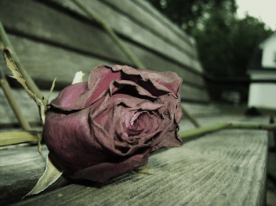 http://4.bp.blogspot.com/_lWcLAzZO5wA/ShdvUCPuJYI/AAAAAAAAASQ/uOyQCIfnRsw/s400/Sad+love+(A).jpg