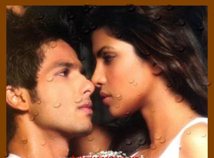 shahid kapoor dan priyanka chopra pacaran gosip artis india shahid kapoor tak bisa melupakan shahid kapoor dan priyanka chopra pacaran gosip artis india shahid kapoor tak bisa melupakan