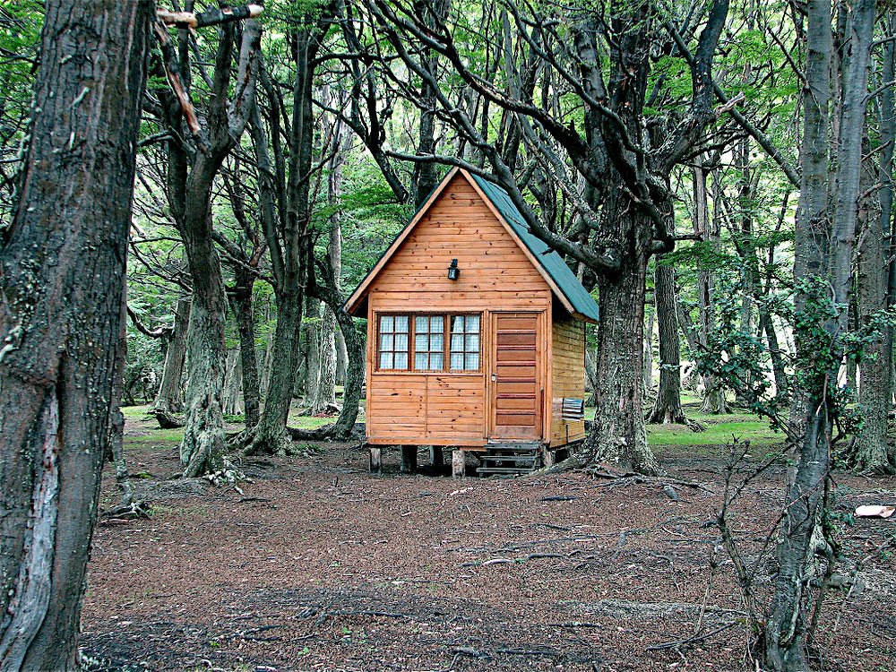 [CabinInTheWoods.jpg]