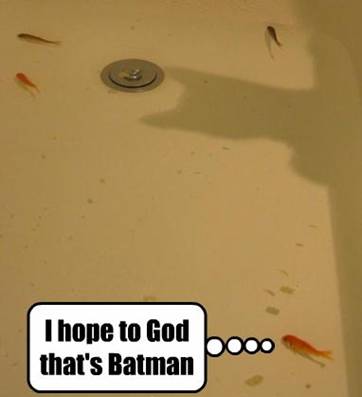 [BatmanFishCat.jpg]