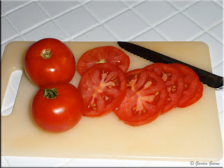 Indeterminant tomato