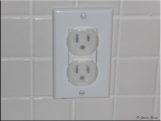[plug2.jpg]