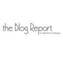 The Blog Report
