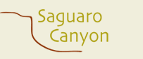 Saguaro Canyon Subdivision
