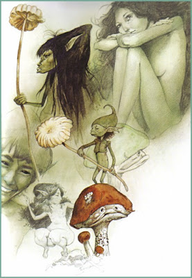 brian froud gallery