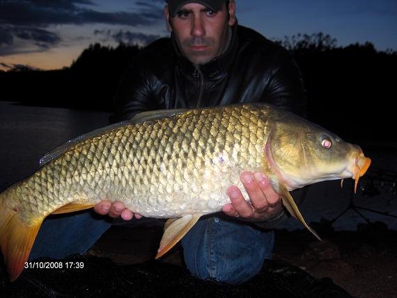 Carpa Comum Sra da Ribeira Aguieira 31 outubro 2008