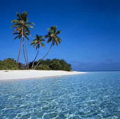 "SEMBRANDO ESPERANZA": La Isla...
