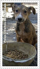 Não abandone um amigo