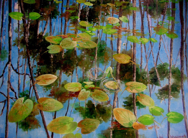 opaque waters