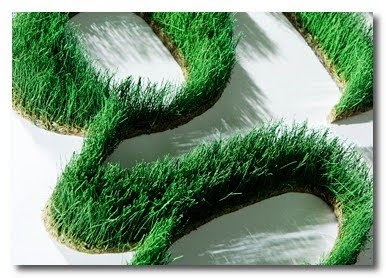 grass letters grass letters