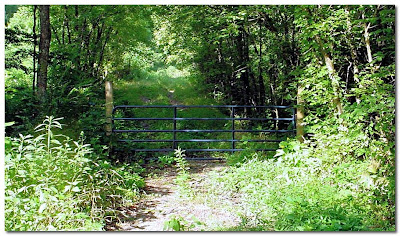 gated road