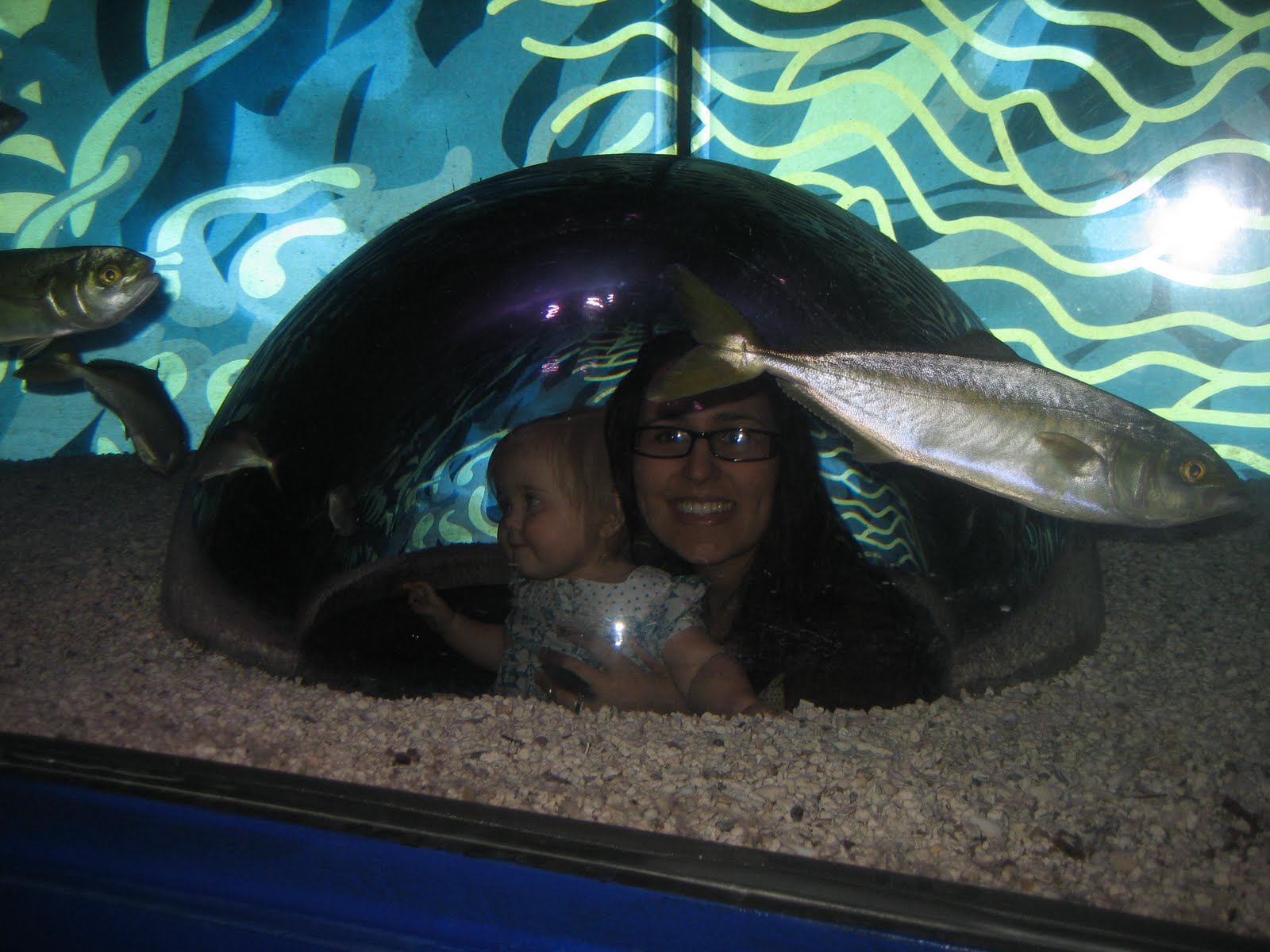 Alexa Grant Aquarium Arizona Mills