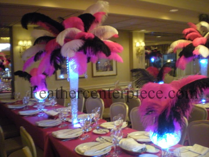 The Feather Diva Hot Pink Sweet Sixteen