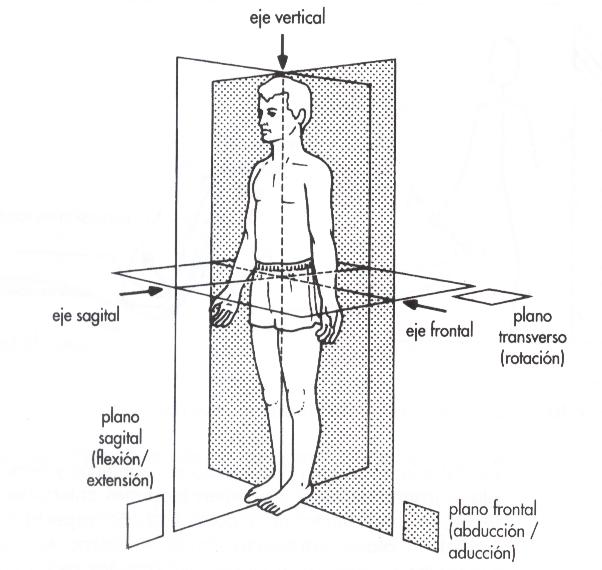 ejes y planos de movimientos...