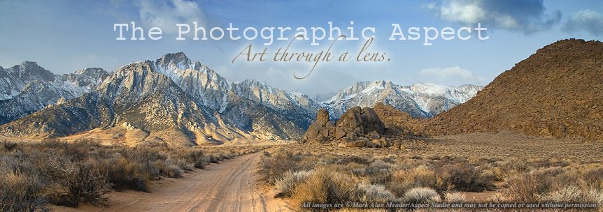 The Photographic Aspect