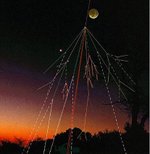 [Cosmic_ray_shower-small.jpg]