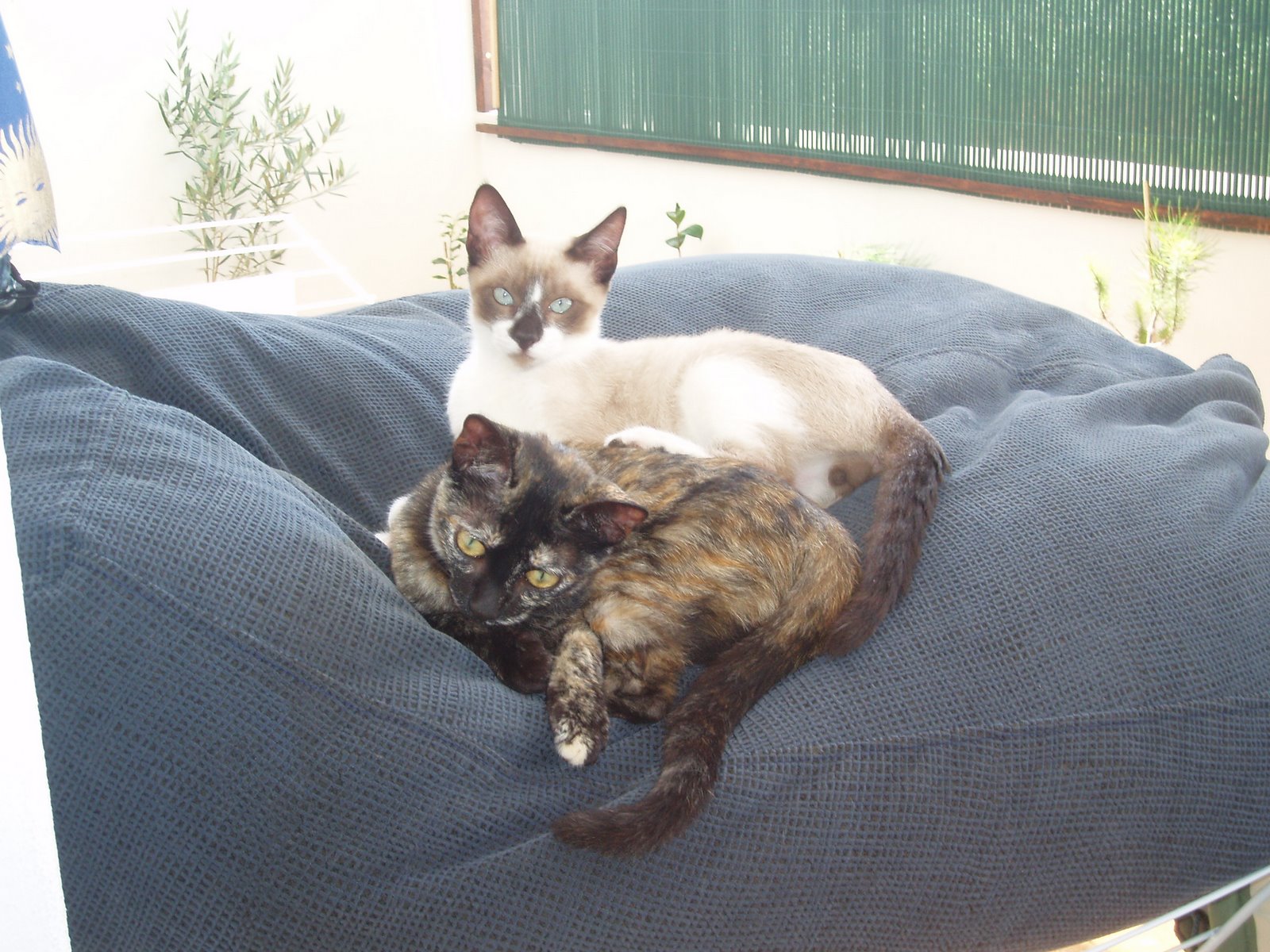 [P1010145.JPG]