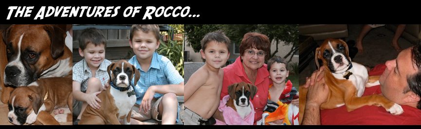 The Adventures of Rocco