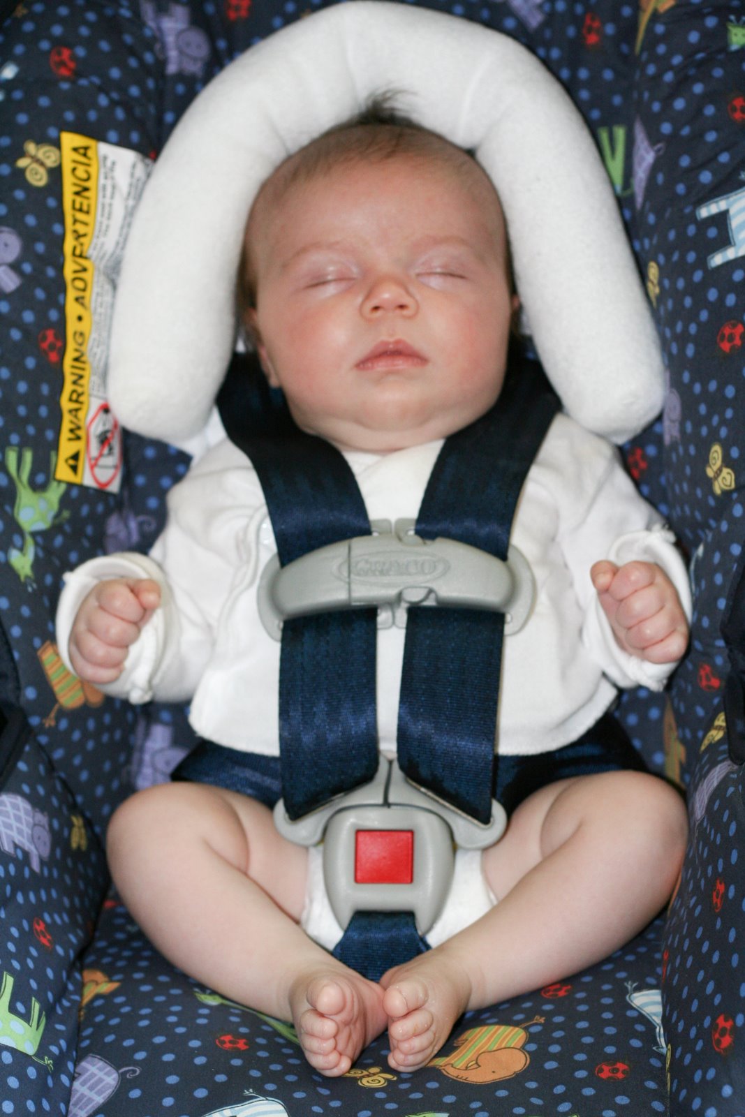 [070523_Erin+6+weeks_04.jpg]