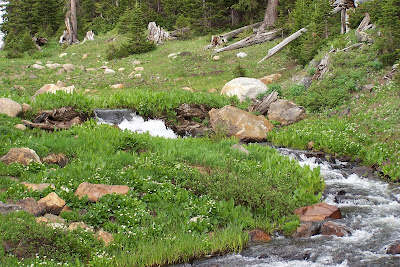Telephone Creek, Snowy Range Mountains, Medicine Bow National Forest, WYOMING