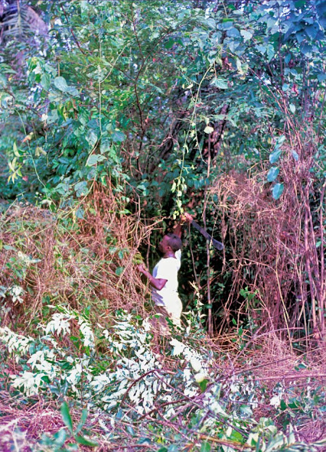 Teacher Amara brushing his farm near Kenema